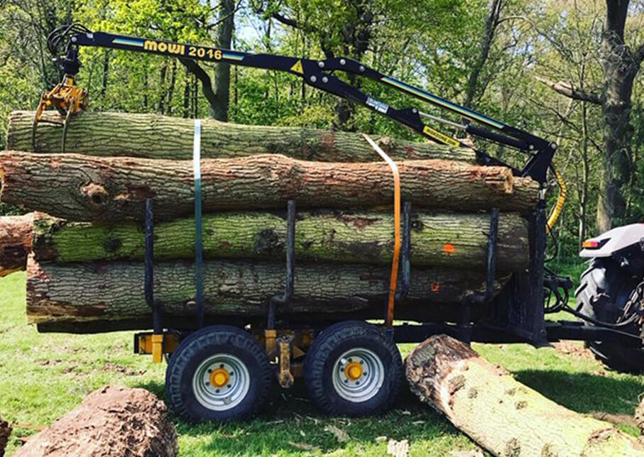 woodland management