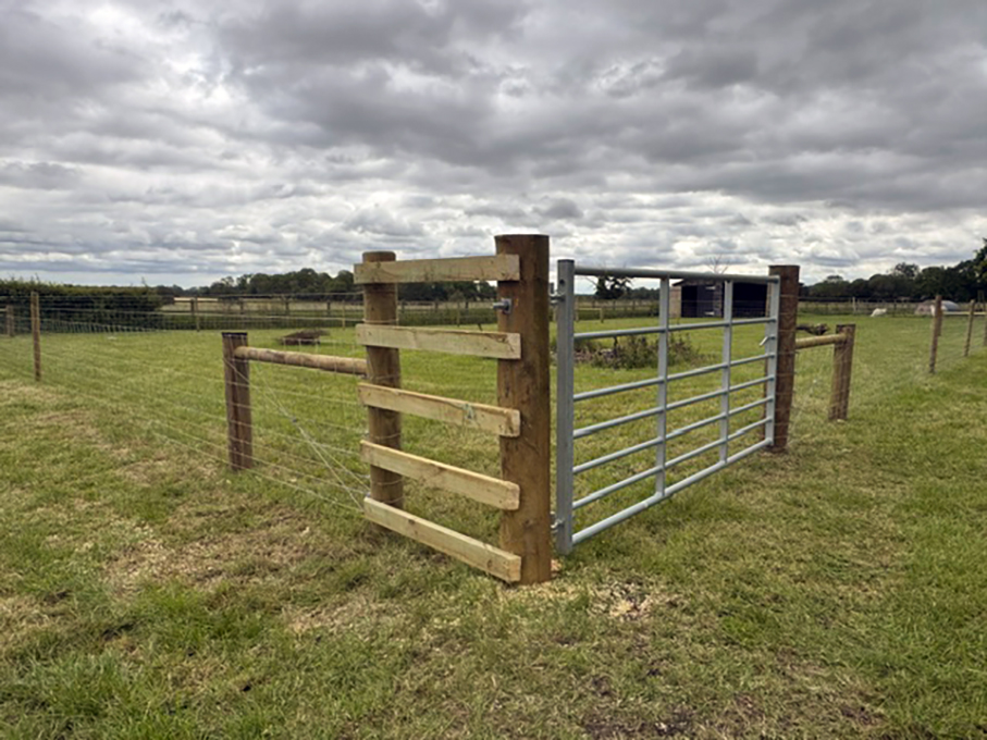fencing