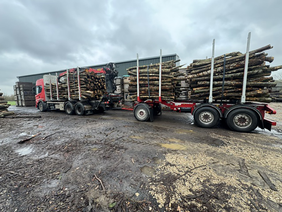 sawmill