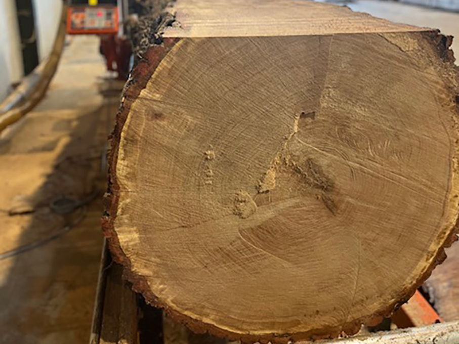sawmill